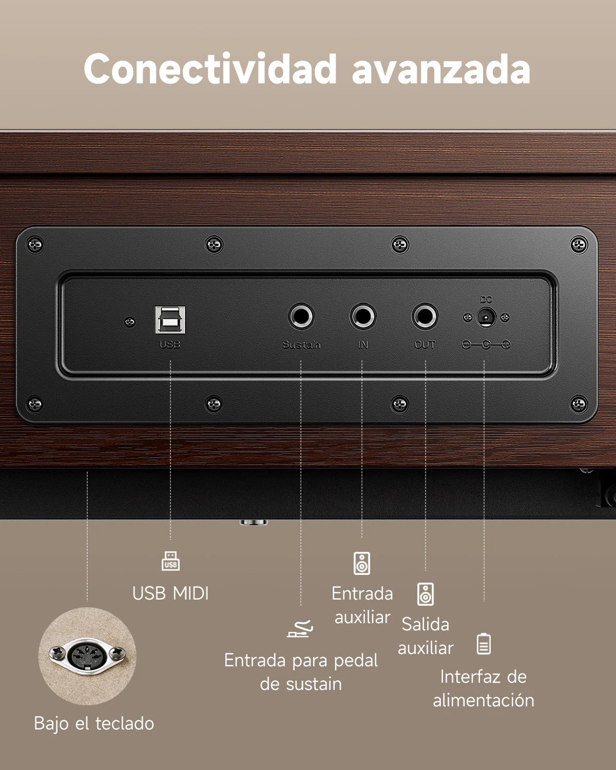 【Caja Abierta】Donner OURA™ R300 Piano digital de estilo casero - Image 21
